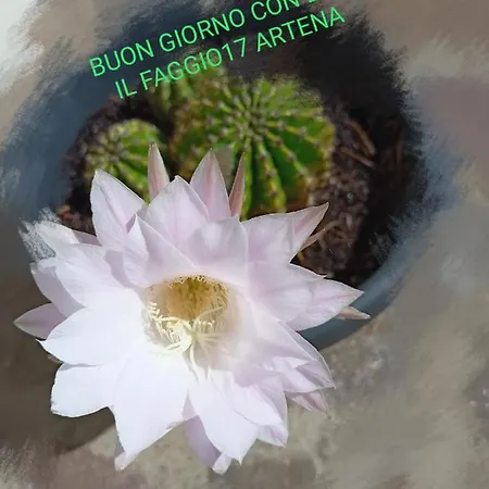 Il Faggio 17 Nocleg ze śniadaniem 3*
