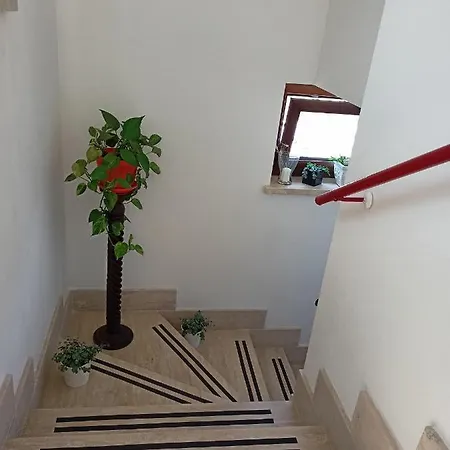 Il Faggio 17 * Artena