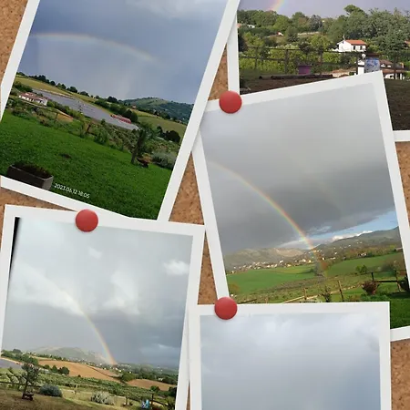Il Faggio 17 * Artena