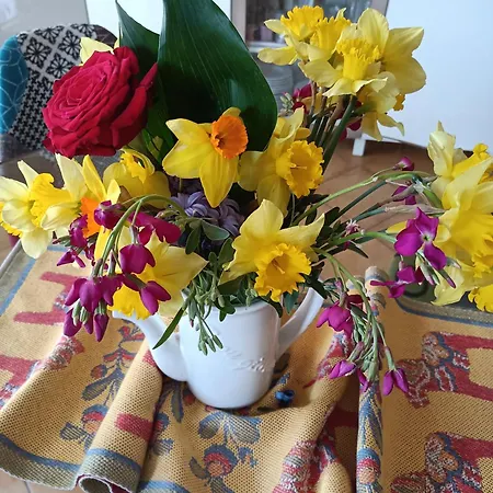Il Faggio 17 Bed & Breakfast Artena