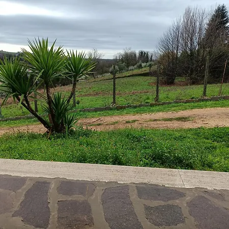 Il Faggio 17 Bed & Breakfast