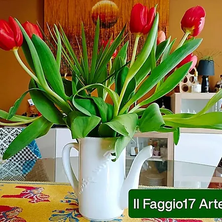 Il Faggio 17