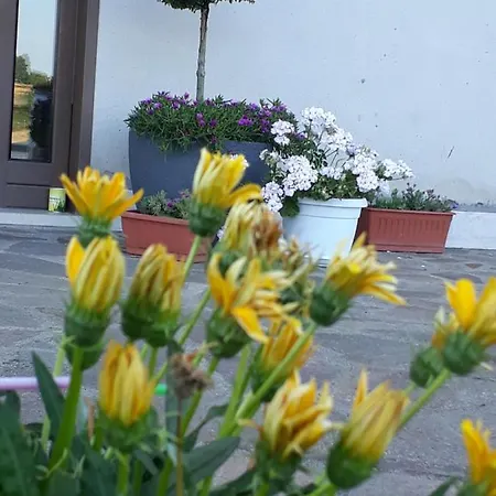 Bed & Breakfast Il Faggio 17 *