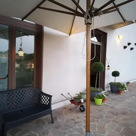 Il Faggio 17 *